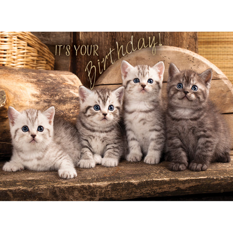 Children's birthday cards