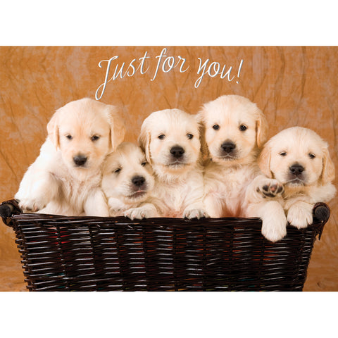 Children's birthday cards