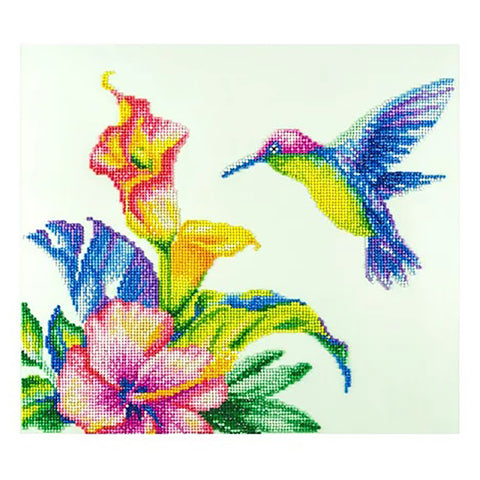 Advanced Diamond Art Kit Hummingbird DMA49939