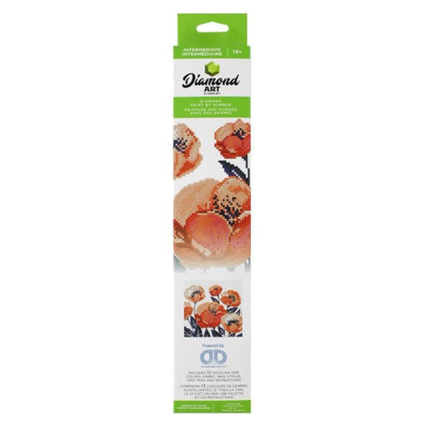Front of Packaging