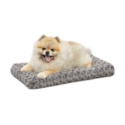 Dog on pet bed