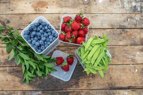 Food Preservation