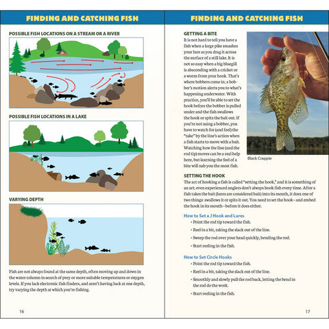 Sample Pages