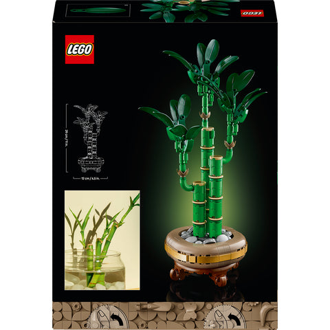 back of box, LEGO Botanicals Lucky Bamboo Building Set 10344