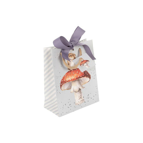 Hes a fun-gi small gift bag GB