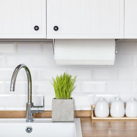 Steady Mounted Paper Towel Holder 13245200
