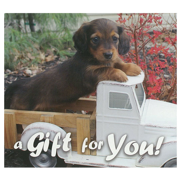Good's Store Gift Card in a Puppy in a Truck Holder