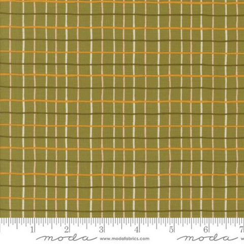 green, Frivolity Collection Checks and Plaids Cotton Fabric 43195
