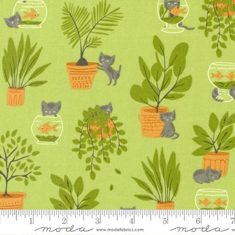 Here Kitty Kitty Collection Mischievous Kitty Cotton Fabric 20831 green
