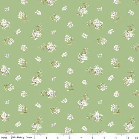 Green, Peter Rabbit and Friends Collection Jasmine Cotton Fabric CD15864