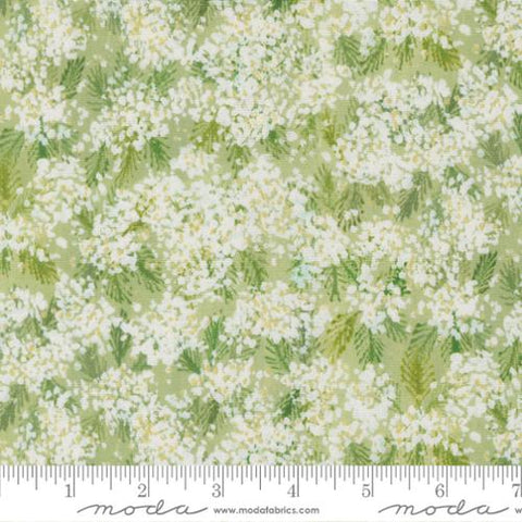 green, Sweet Cecily Collection Queen Anne Floral Cotton Fabric 24642