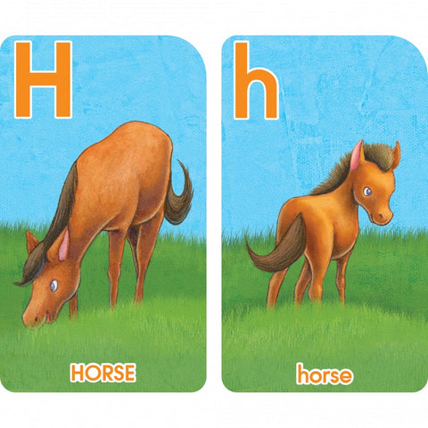 Horse cards