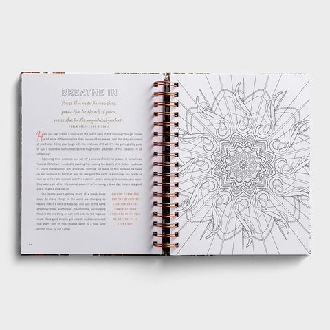 Sample Pages