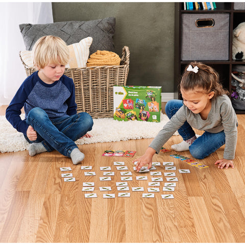 Playing Memory