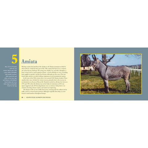 Donkey book