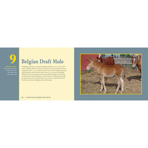 Book about donkeys and mules