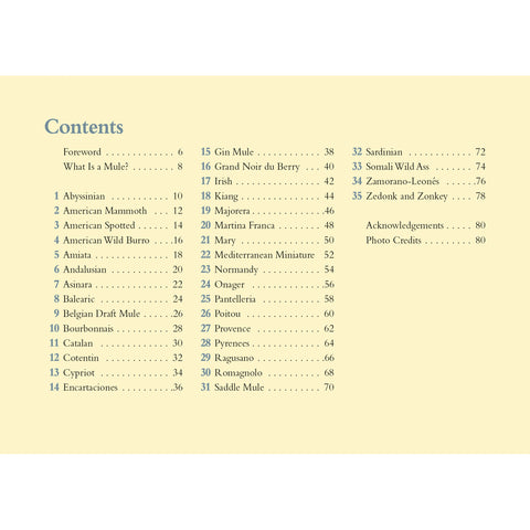 Index of book