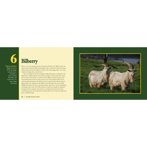 Know Your Goats Book