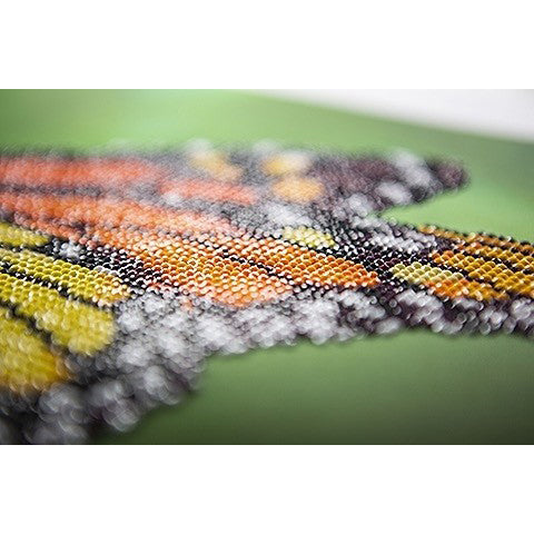 Diamond Dotz Painting Monarch Butterfly Kit 50452