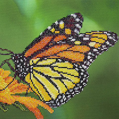 Diamond Dotz Painting Monarch Butterfly Kit 50452