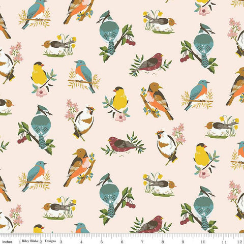 latte-Winged Medley Collection Birds Cotton Fabric C15911