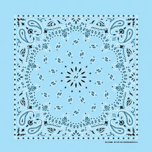 Light blue Paisley Handkerchief