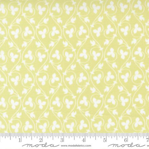 Cinammon and Cream Collection Acorn Vines Cotton Fabric light green