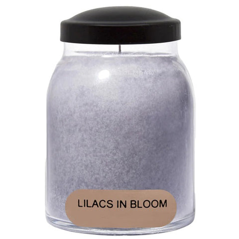 Lilacs in Bloom