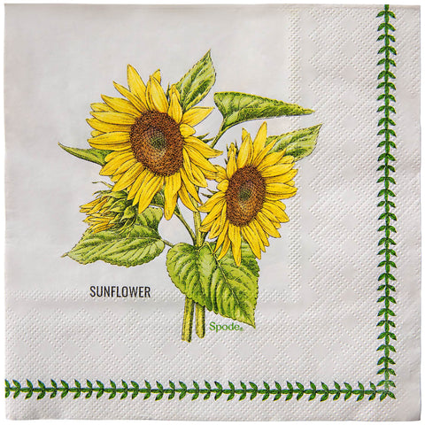 LUNCH NAPKINS SPODE GARDEN FLORALS