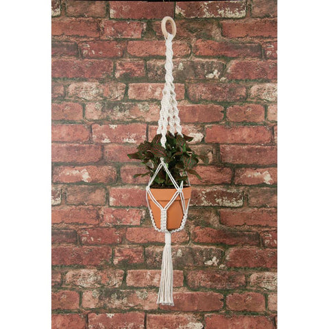 Brick wall with macrame plant hanger kit