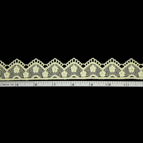 Maize lace