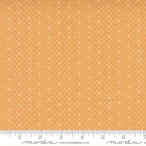 Cinnamon and Cream Collection Eyelet Cotton Fabric orange