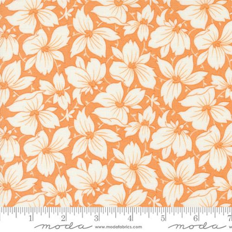 Denim and Daisies Collection Sunday Best Florals Cotton Fabric 35381 orange
