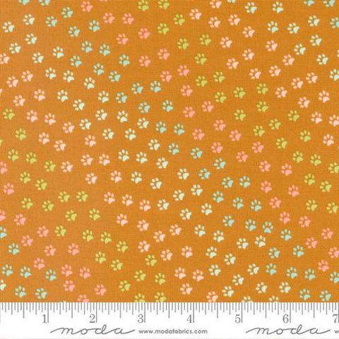 Here Kitty Kitty Paws and More Paws Cotton Fabric 20835 orange