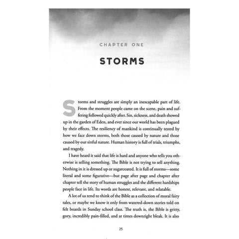 Into the Storm 8774
