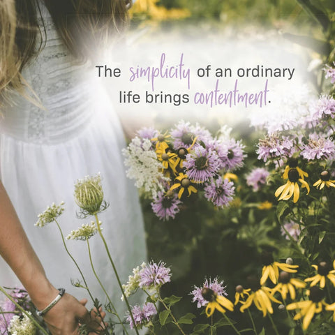 Simplicity 03246