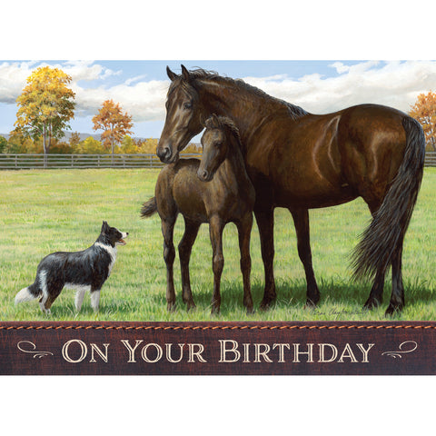 Birthday cards with horses