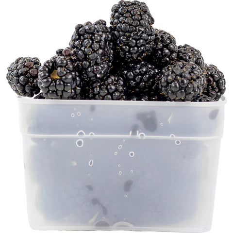 Pint Size Freezer Boxes 6 Pack FT4300 1 PT with fruit