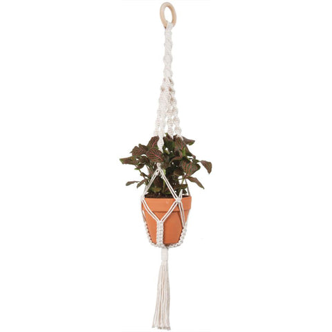 Macrame plant