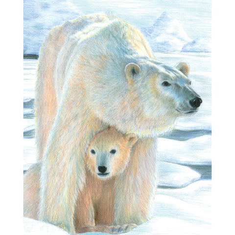 Polar bear picture