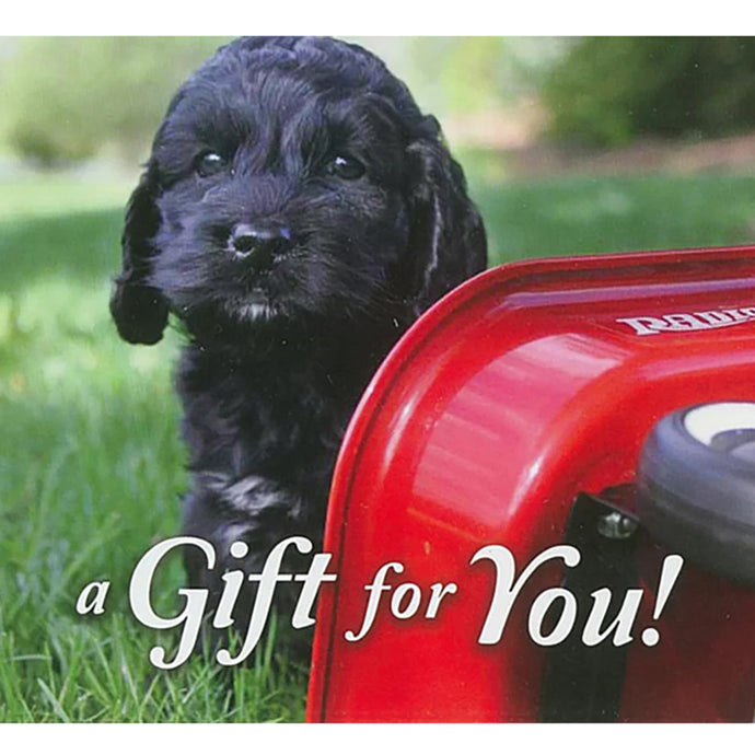 Good's Store Gift Card in a Puppy with Red Wagon Holder