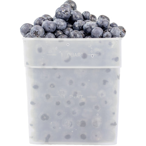 Quart Size Freezer Boxes 6 Pack FT4300 1 QT with fruit