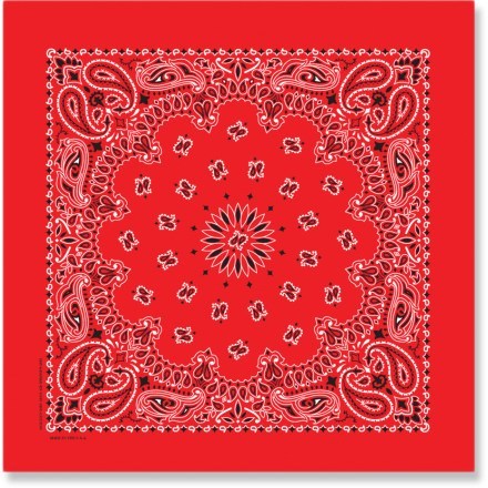 Red Paisley Handkerchief
