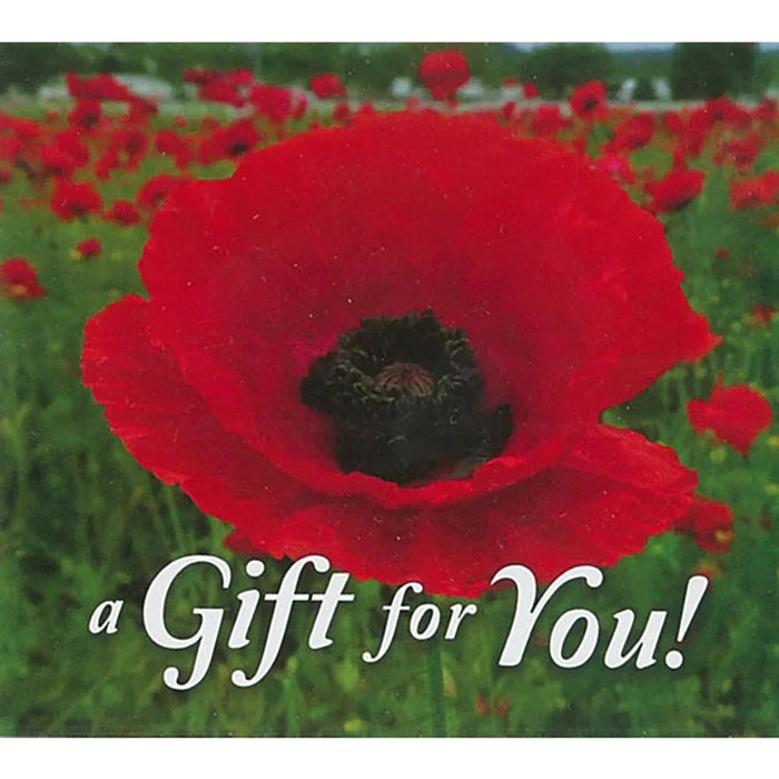 Good's Store Gift Card in a Red Poppy Field Holder