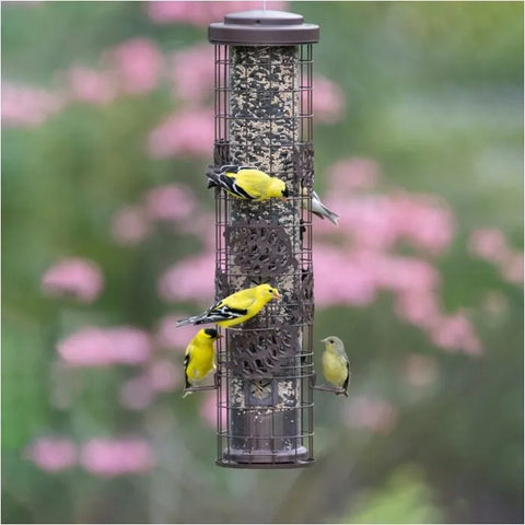 Birds feeding at Perky-Pet Squirrel-Be-Gone Max Pinecone Bird Feeder