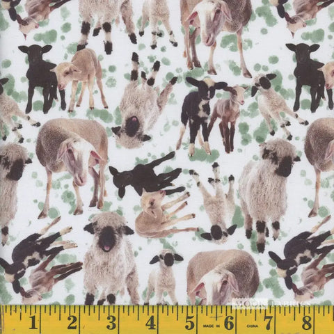 sheep, Farm Animals Cotton Fabric 137