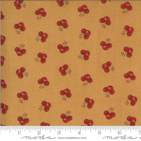 Soft gold fabric