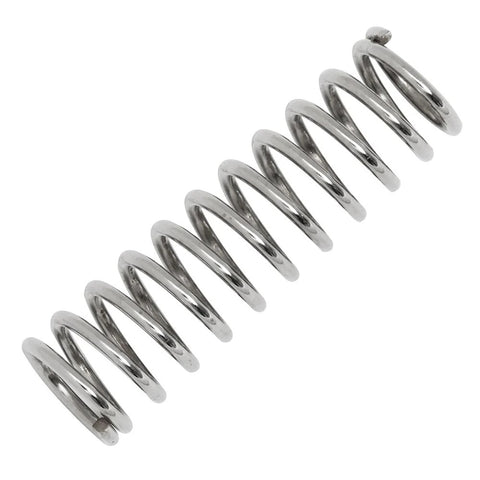 Replacement Spring for Strainer