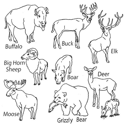 Big Game Animals Iron-On Transfers