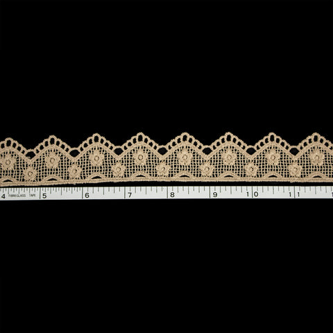 Taupe lace